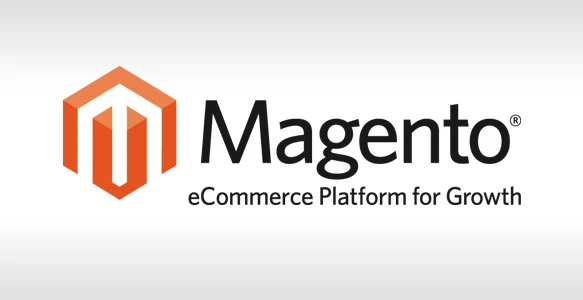 Magento Store Ecommerce Development Michigan