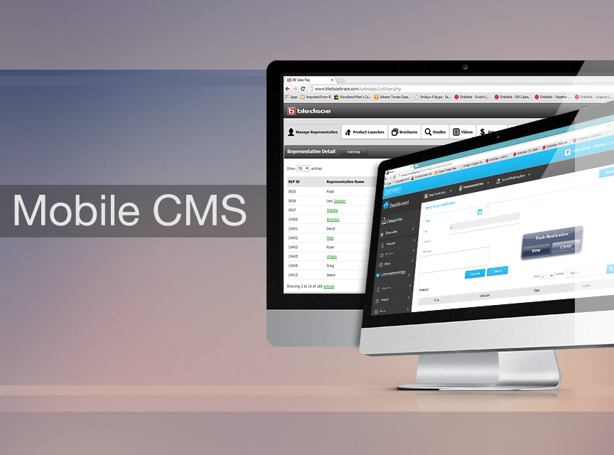 Mobile App Content Management System